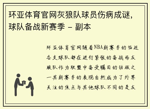 环亚体育官网灰狼队球员伤病成谜，球队备战新赛季 - 副本